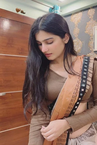 Ludhiana Call Girl Service